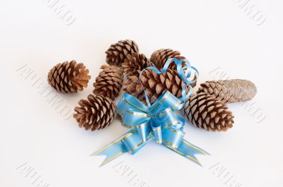 Ribbon and pine cones