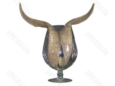 Horns in a glass over white