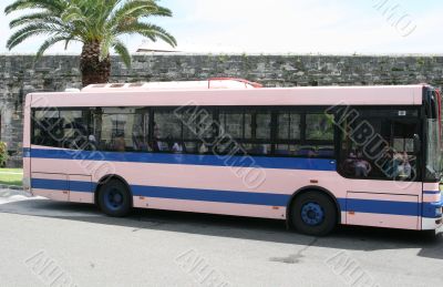 Pink and Blue Bus