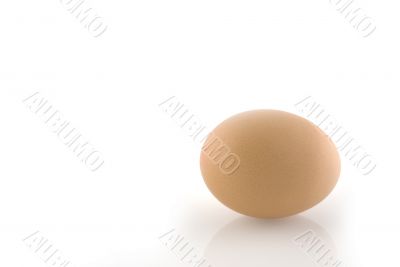 simple egg