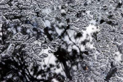 In black-white tones