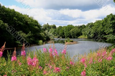 River North Tyne at Bellingham