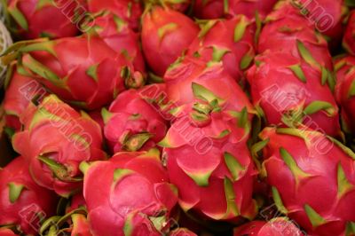 Dragon Fruit