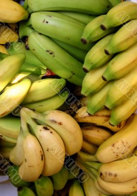 Fresh Organic Bananas