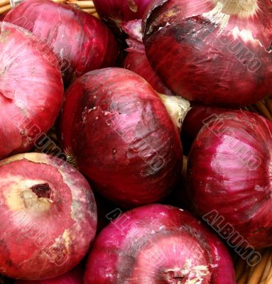 Fresh Red Organic Onions at Market