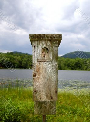 Wooden Bird Feeder Overlooking Lake