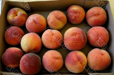 Organic Summer Peaches