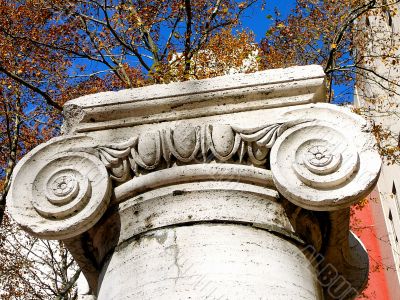 Detail of Ionic Capital and Column