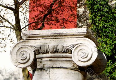 Detail of Ionic Capital and Column