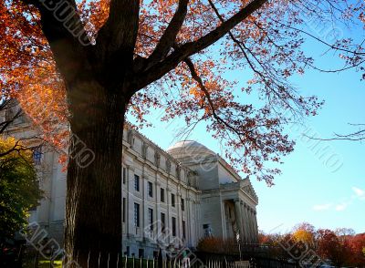 Brooklyn Museum Exterior In The Fall, New York