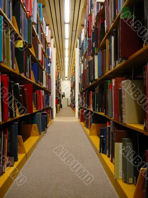 Shelves Of Books In A Library