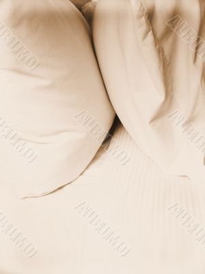 Pair of White Pillows