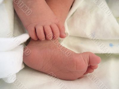 Newborn Baby Feet