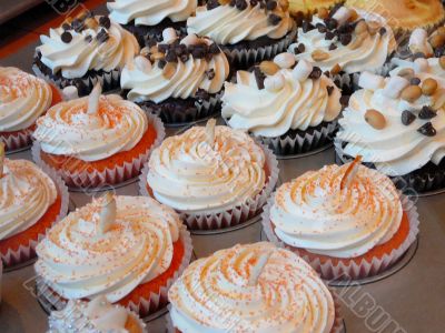 Variety of Gourmet Cupcakes