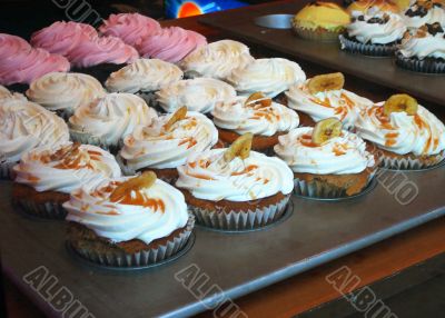 Gourmet Cupcakes in Elegant Bakery