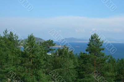 Clouds and pines