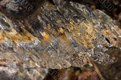 Structure of a spring ice