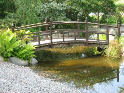 Japaneese garden with small bridge