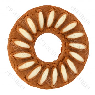 delicious biscuit