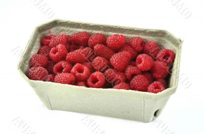 raspberries in cardboard box