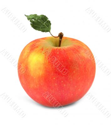 red apple with leaf