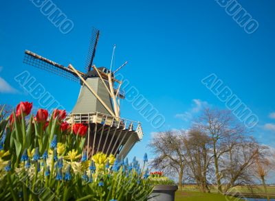 Dutch windmill and tulips Dutch windmill and tulips