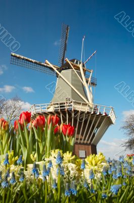 Dutch windmill and tulips