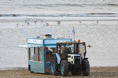 selling fish on the beach