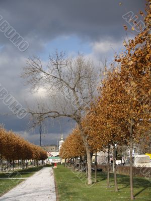 Mellow autumn Mellow autumn