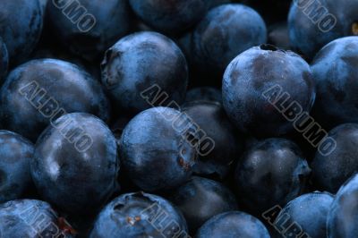 blueberries