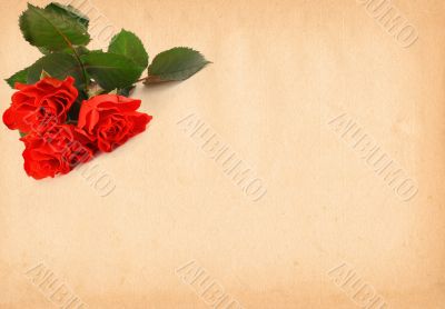 paper with rose motive
