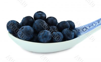 spoonful of blueberries