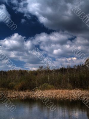 Pond in the spring in clear day