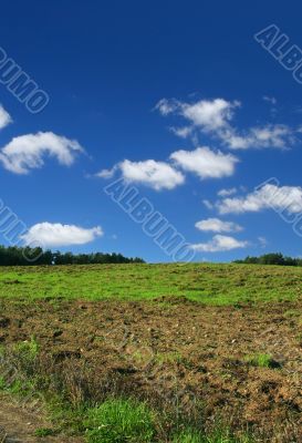 ploughed  pasture