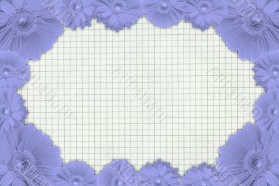 gerbera frame