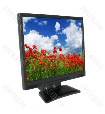 LCD with gorgeous landscape #2