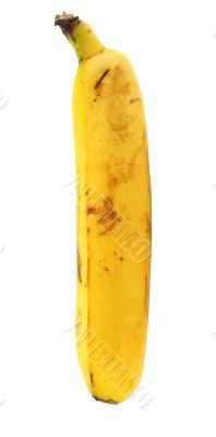 straight banana on white