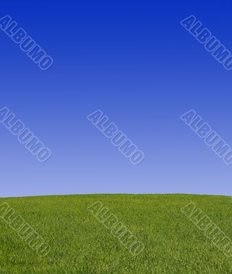 peaceful grassland scenic