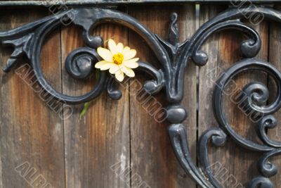 grunge wood and iron background