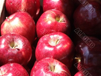 Red Apples