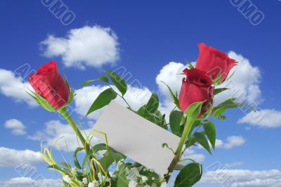 heavenly roses with blank note