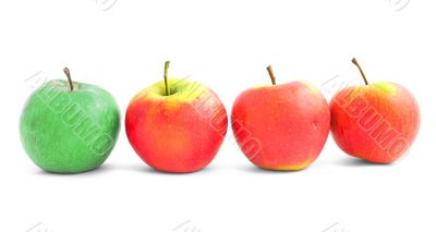 apple diversity