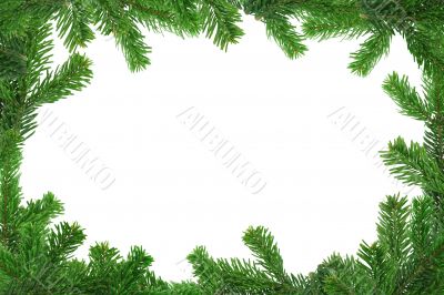 xxl image of spruce twig frame
