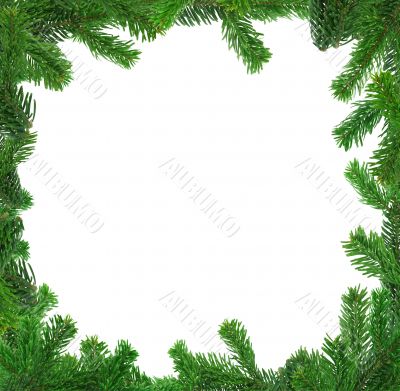 xxl image of square spruce twig frame
