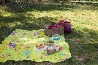 Ready for the picnic