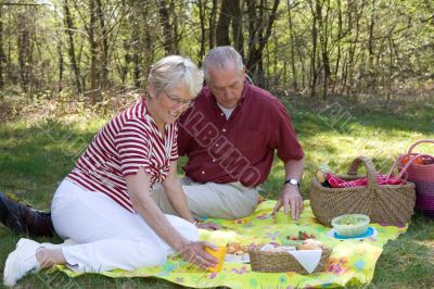 Elderly couple pic-nic