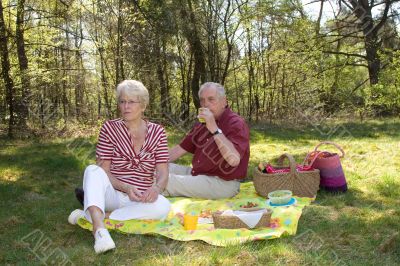 Lovely picnic