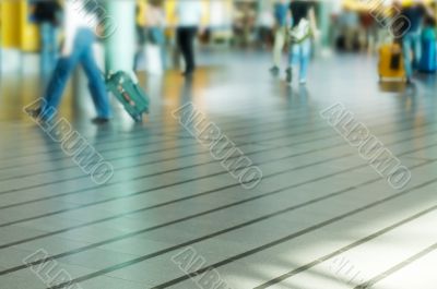 travel travel