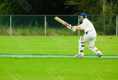 cricket player cricket player