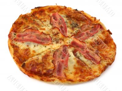 pizza on white